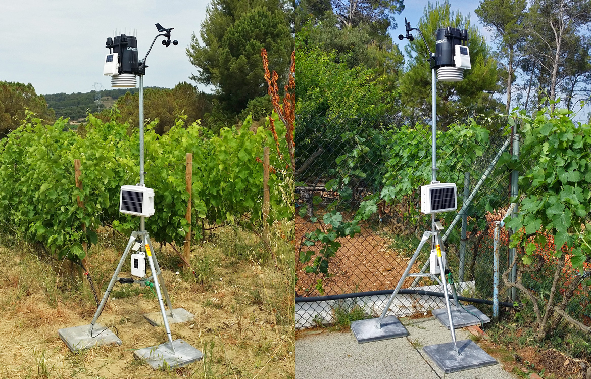 Darrera instala 2 estaciones Vantage Pro2™ Plus en las viñas Albet i Noya (Sant Pau d’Ordal, Barcelona)