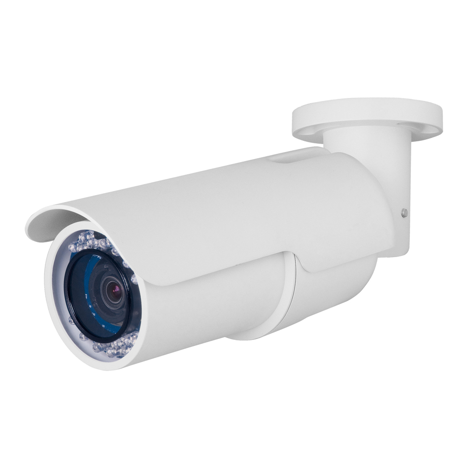 Weather/Surveillance IP Camera |