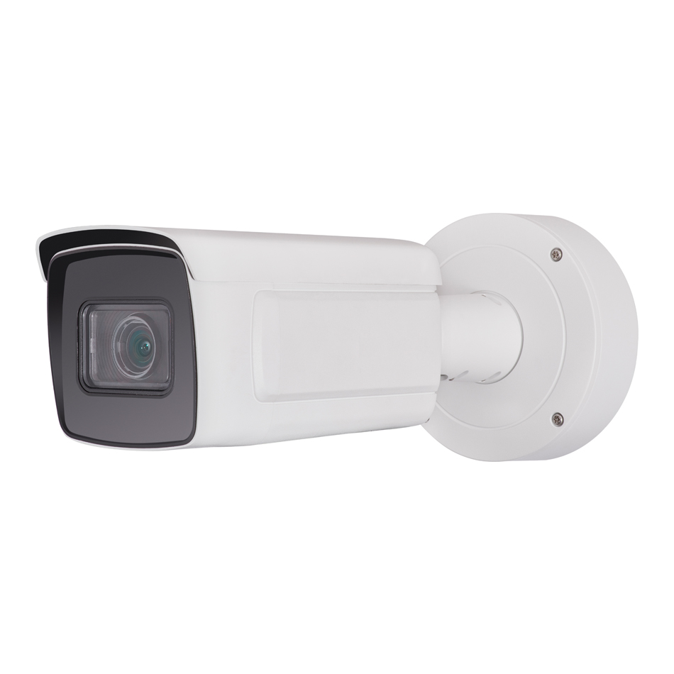 Weather/Surveillance IP Camera